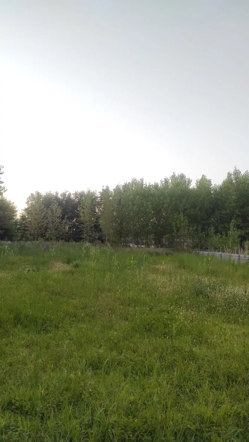 زمین ۱۷۰۰متری  دارای سند و کنتور برق
