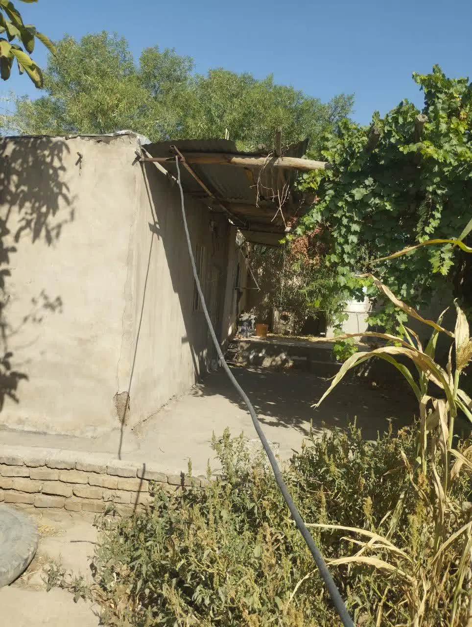 اجاره خونه باغ