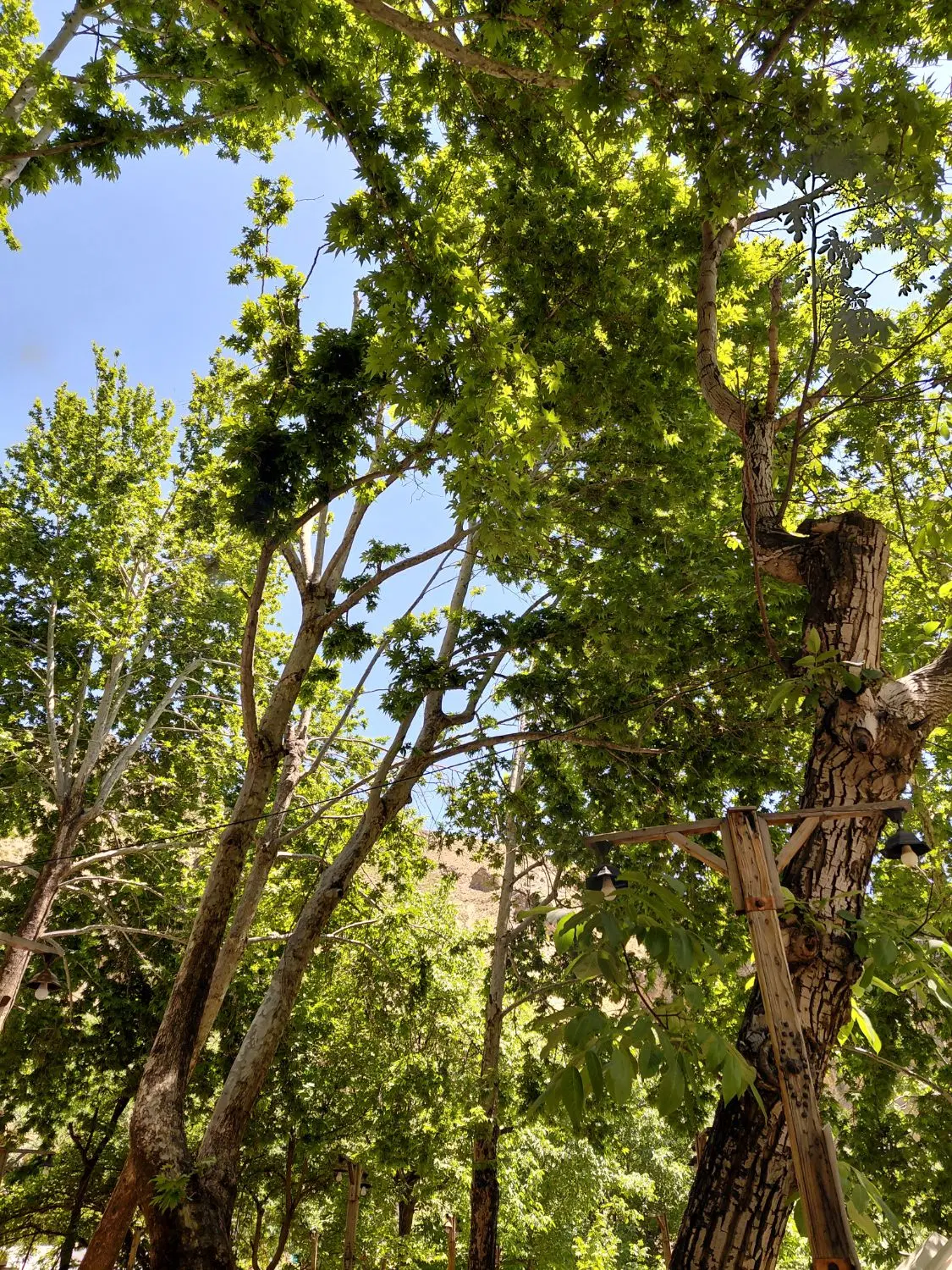 زمین مسکونی روستای مایان دامغان