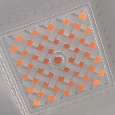 مسکن مهر