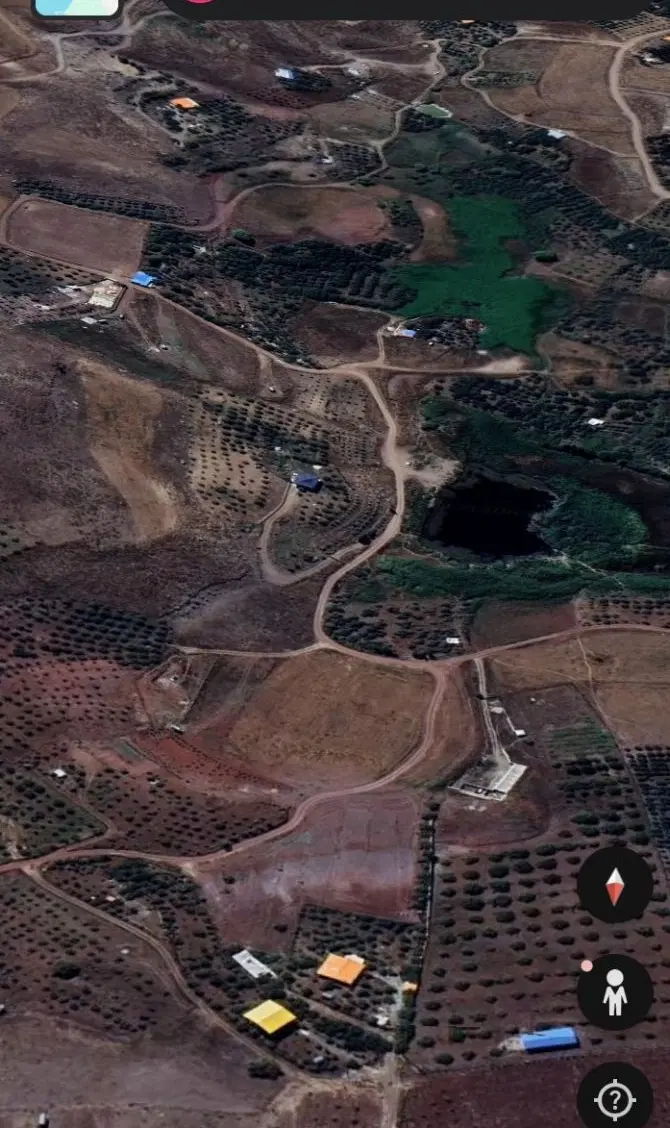 باغ ،زرشک، دریابک،