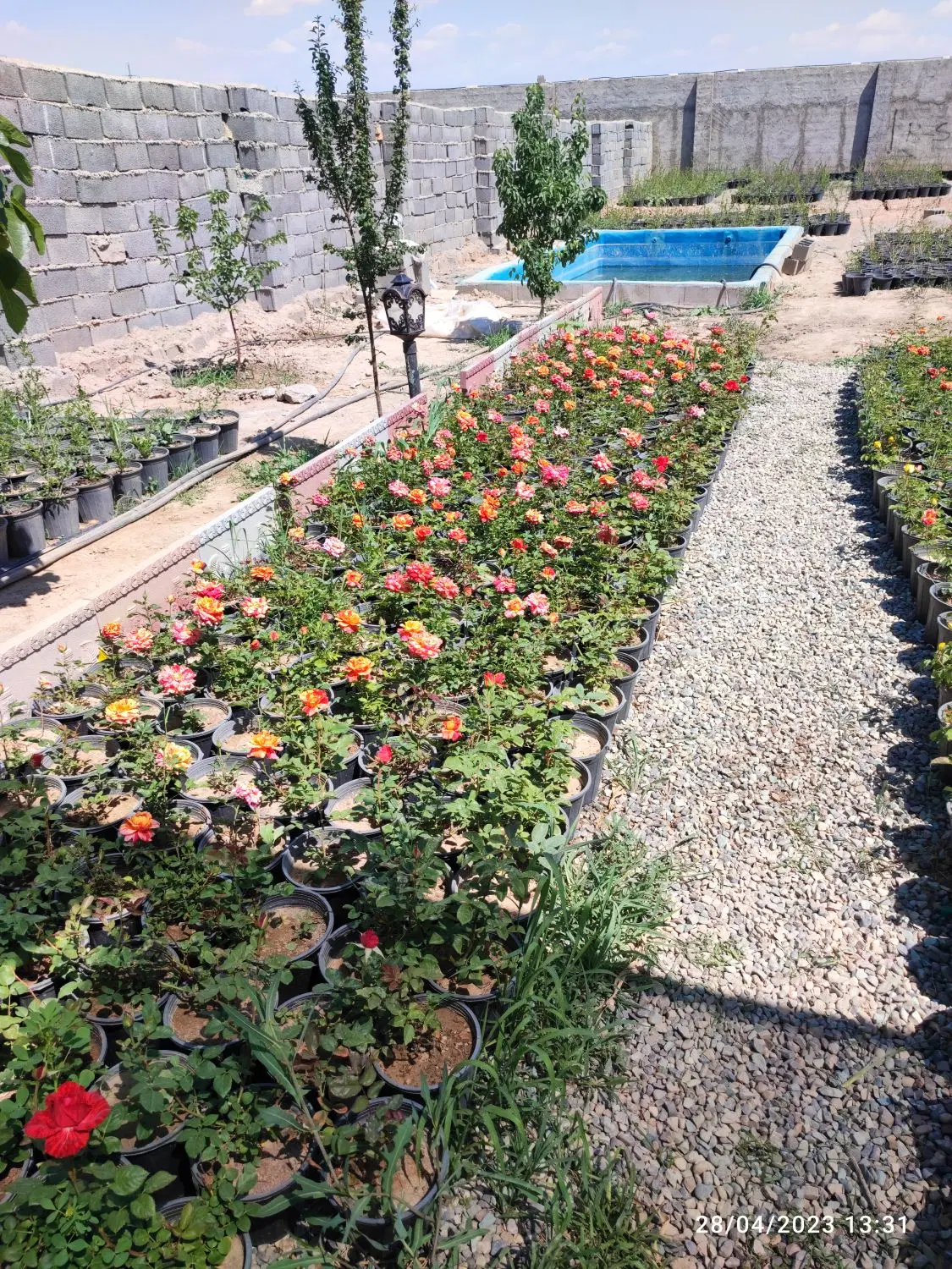 باغچه 500متری