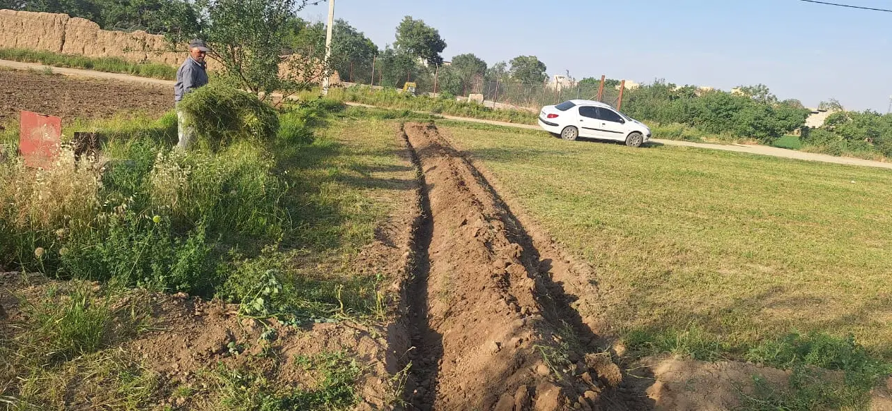 زمین کشاورزی باغی