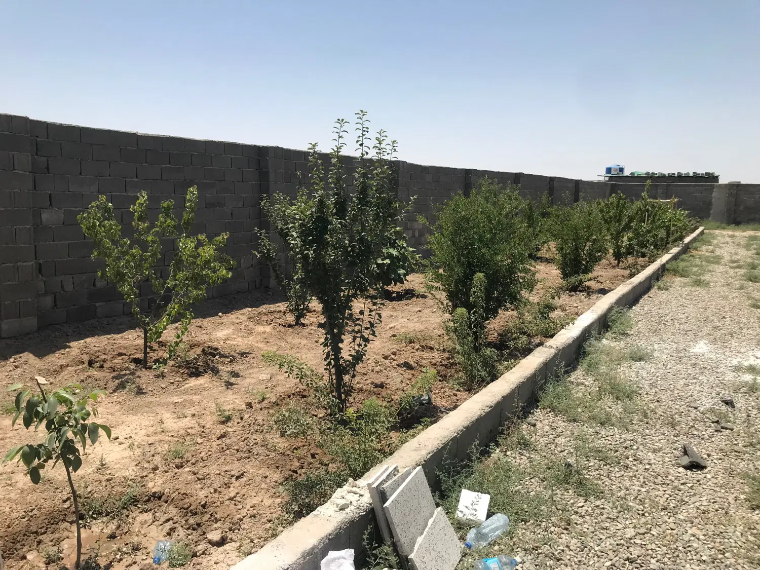 باغچه فروشی ( دارای سند شش دانگ عرصه و اعیان )