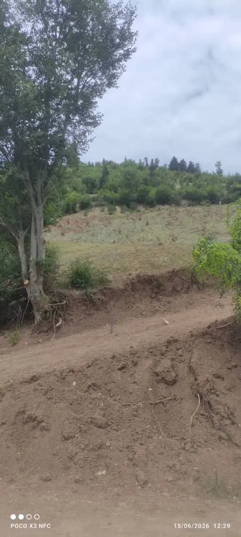 زمین توتکابن روستای دیو رود