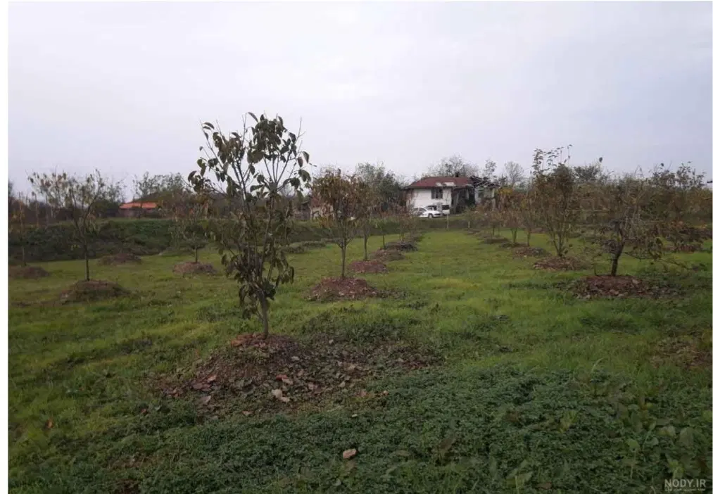 فرصت عالی سرمایه گذاری