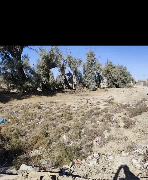 فروش زمین ۱۵۰متری جاده دانشگاه زابل