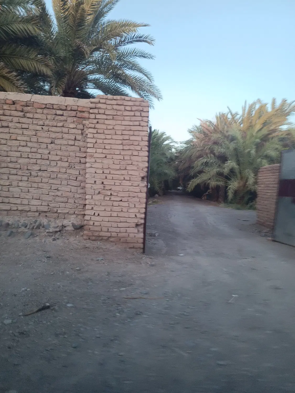 فروش باغ در روستای باغچمک