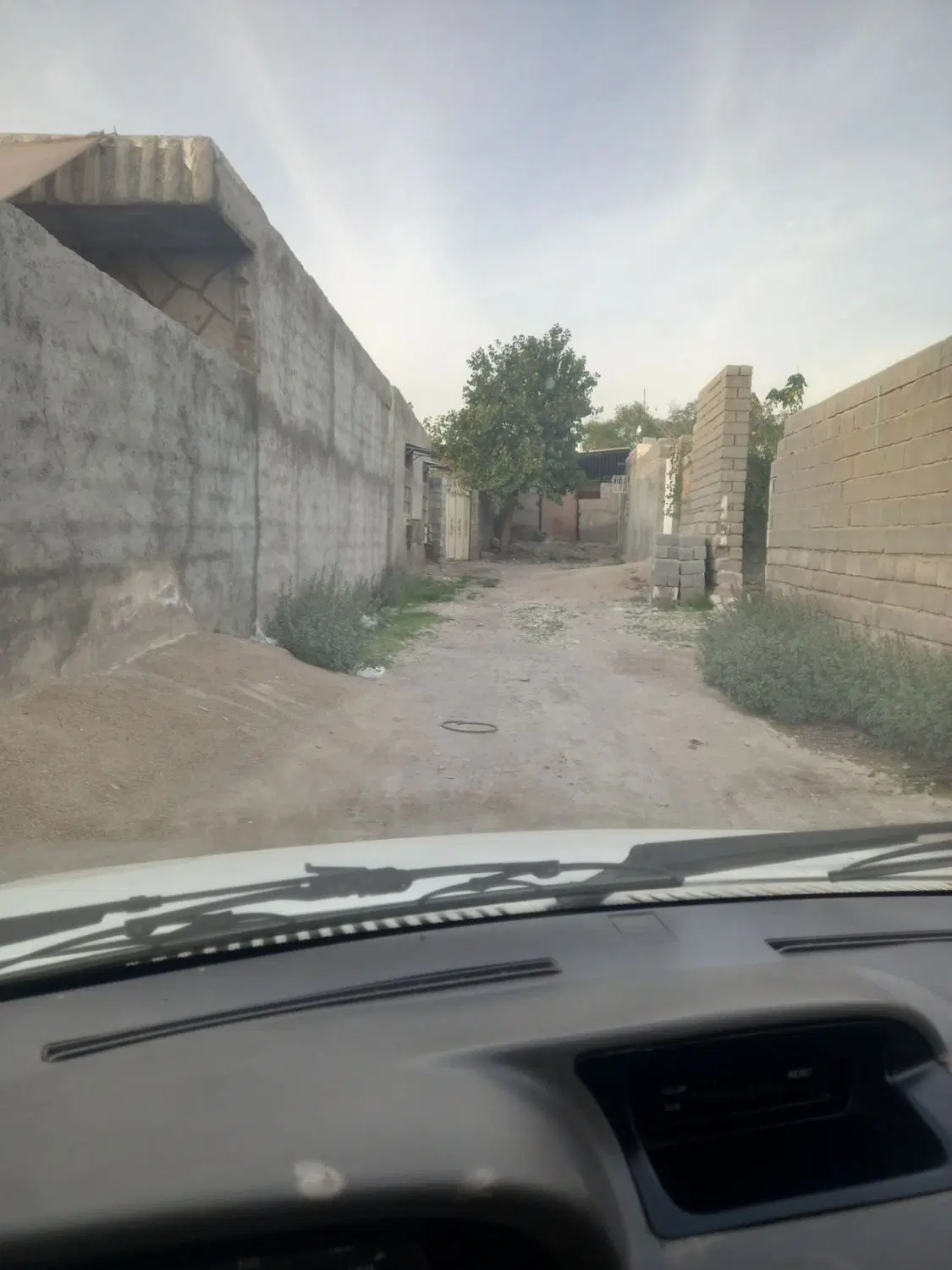 زمین‌ فاریاب ایسین