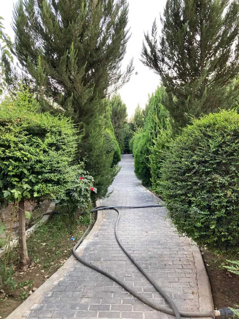 ۸۲۶ متر باغ خیابان چمن ۳
