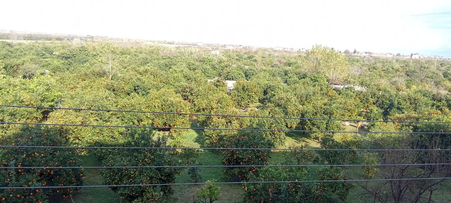 آپارتمان سند شش دانگ شهر‌ک نیکان