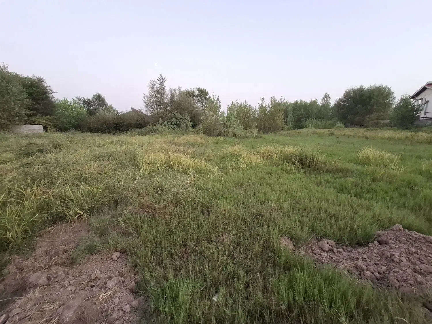 زمین مسکونی واقع در روستای ششکل ۵ کیلومتری دریا