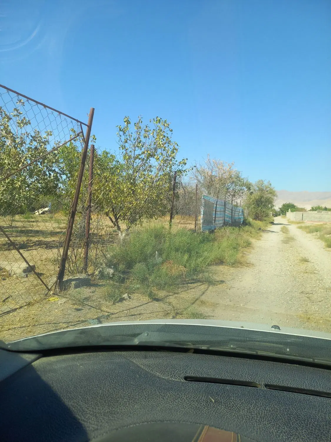 باغ ۵۴۰متری