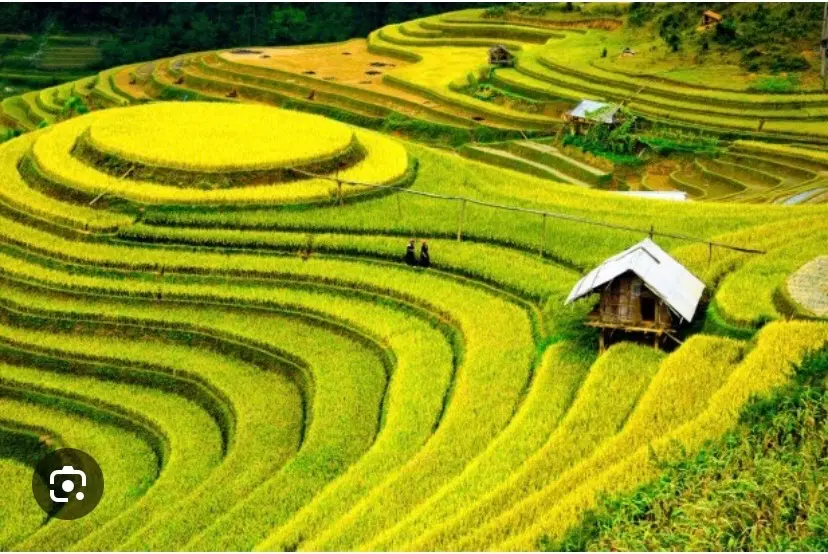 زمین چهاردیواری۳۹۶ تنگ چنار