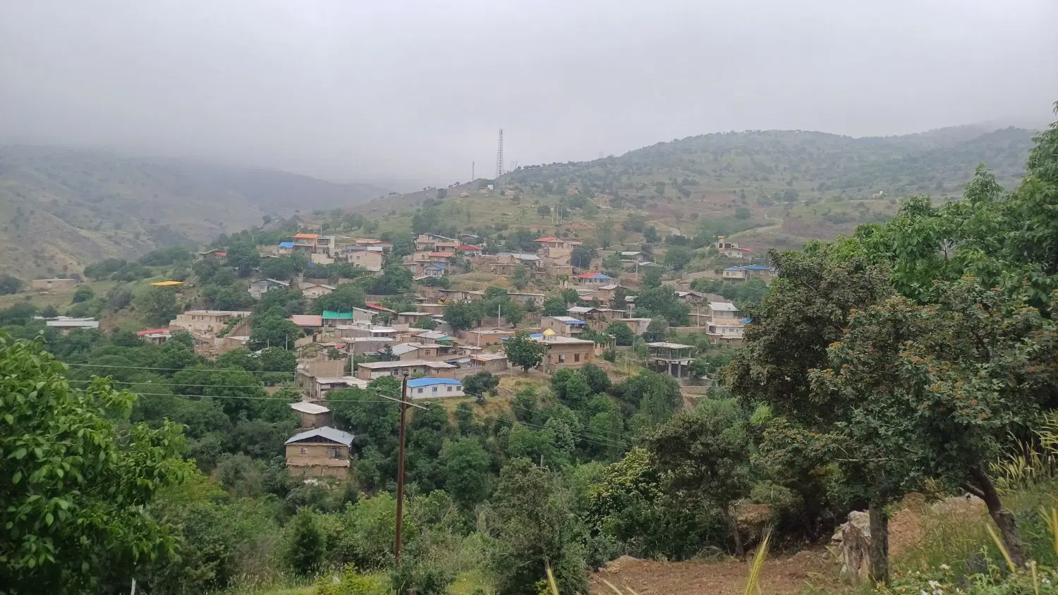 زمین ویلا خانه باغ