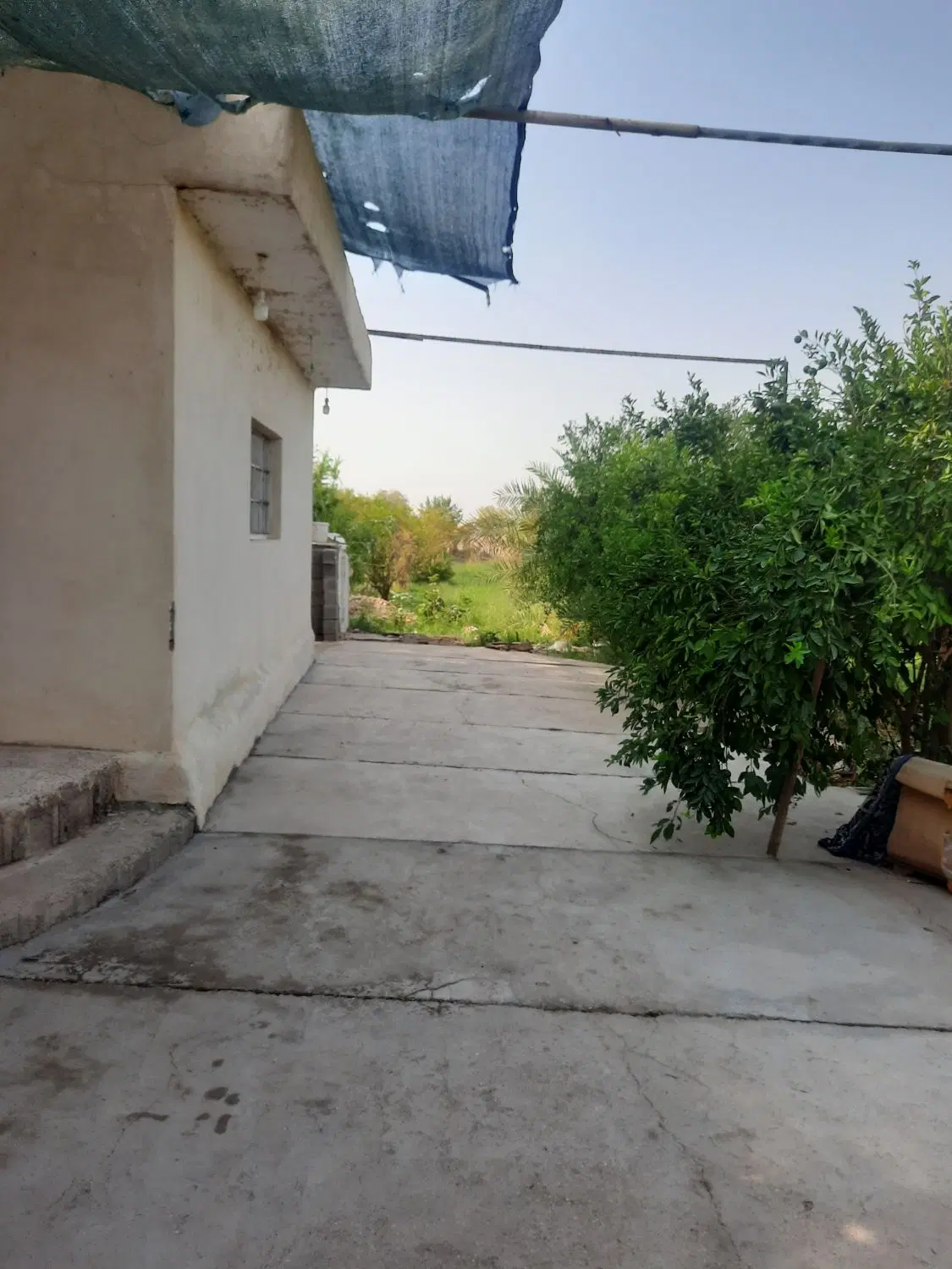 فروش باغچه۵هزارمتری