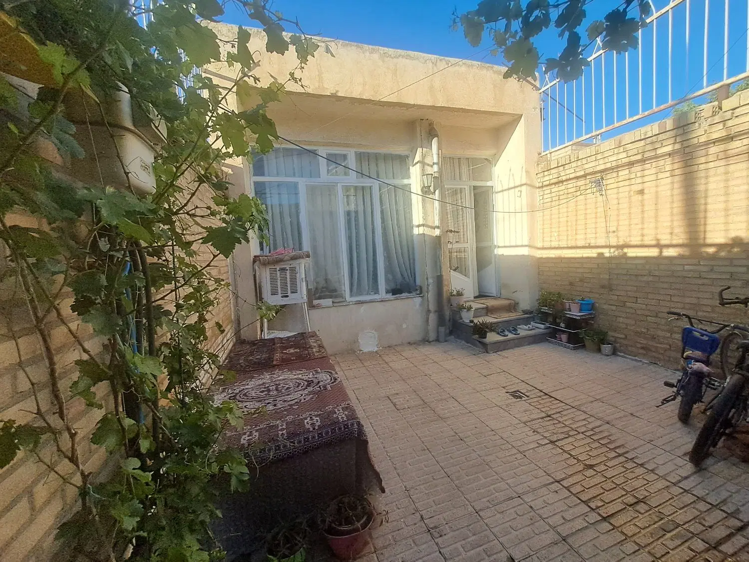 حیاط