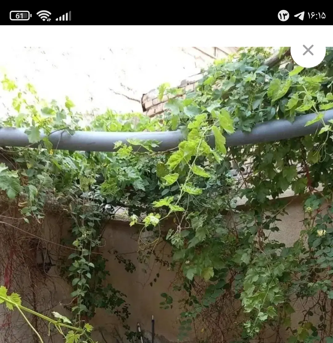فروش خانه نقلی