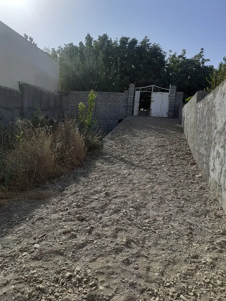 باغ،زمین