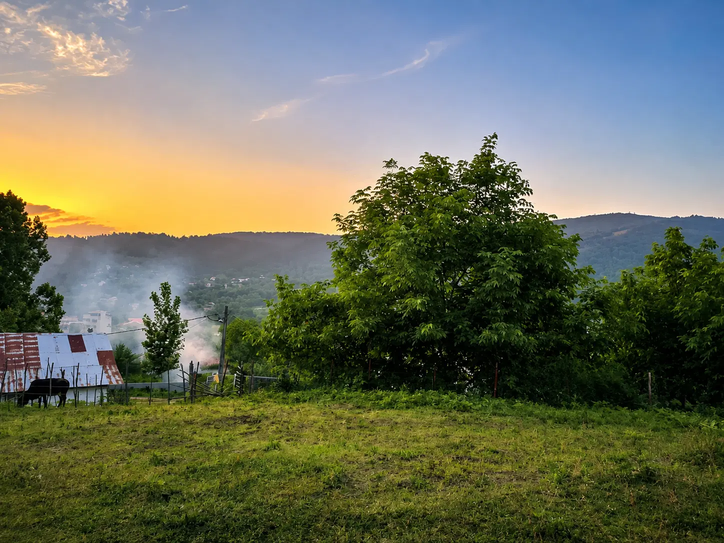 زمین مسکونی واقع در حلیمه جان