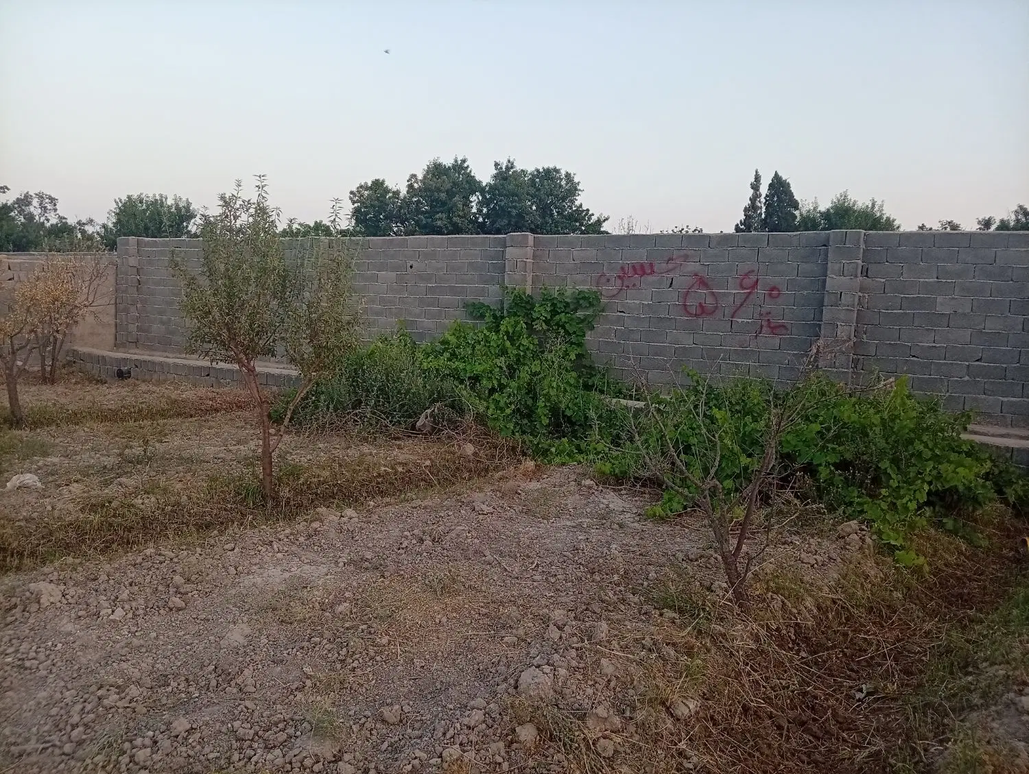 فروش ۵۶۰ متر باغ میوه دو کله