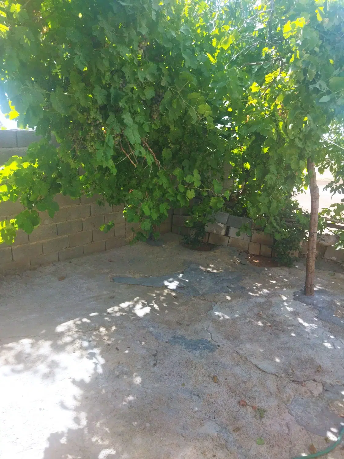 فروشی خانه شرف اباد