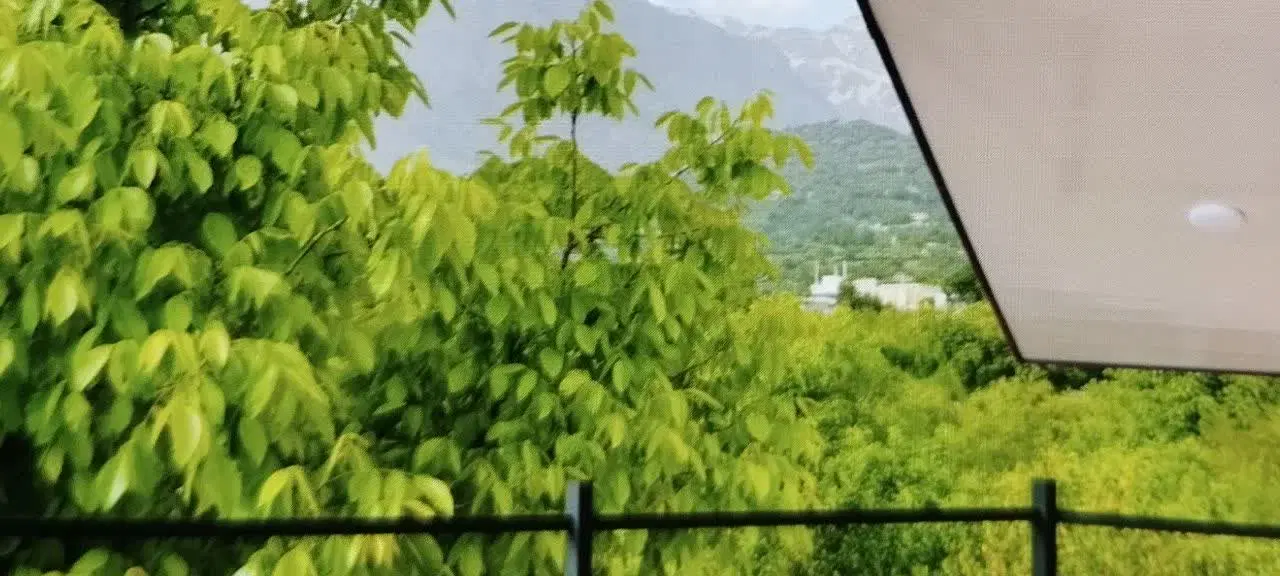 باغ ویلا در نگین جنوب ایران