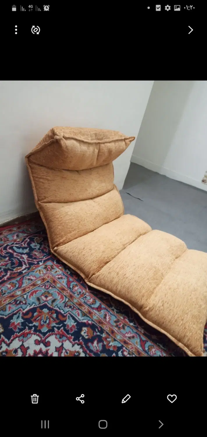 خونه دارم‌ همخونه میشم