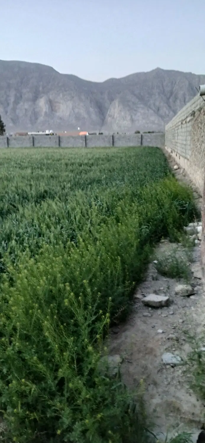 زمین ۱۴۰۰ متری
