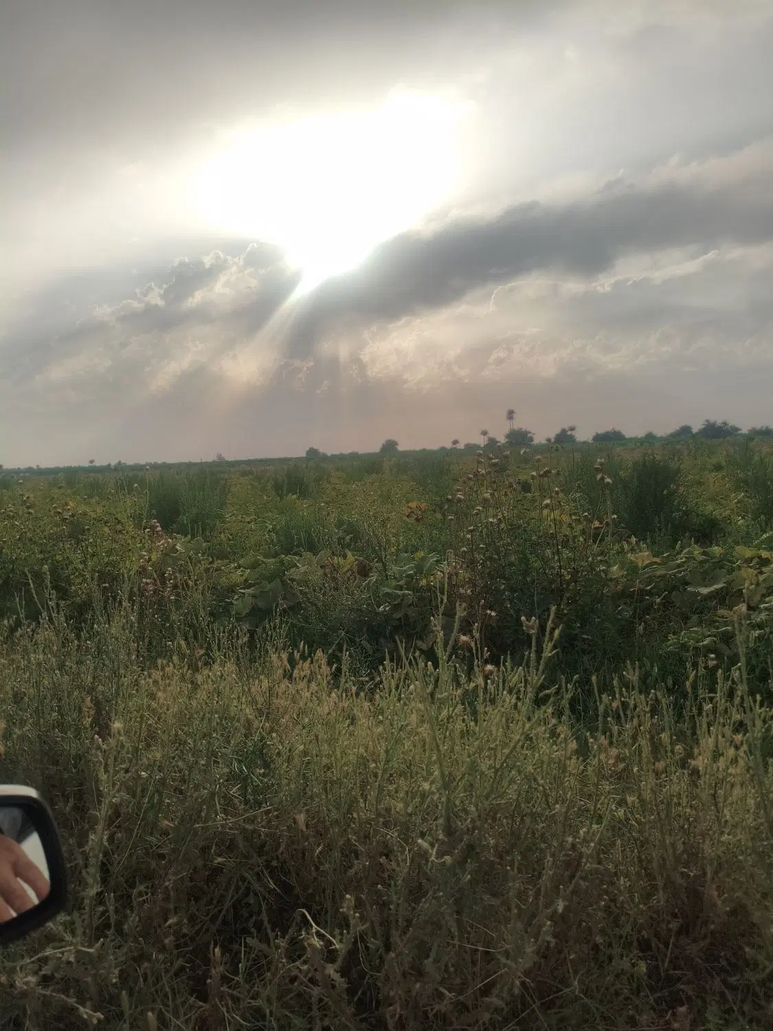 چاه کشاورزی با خاک حاصلخیز