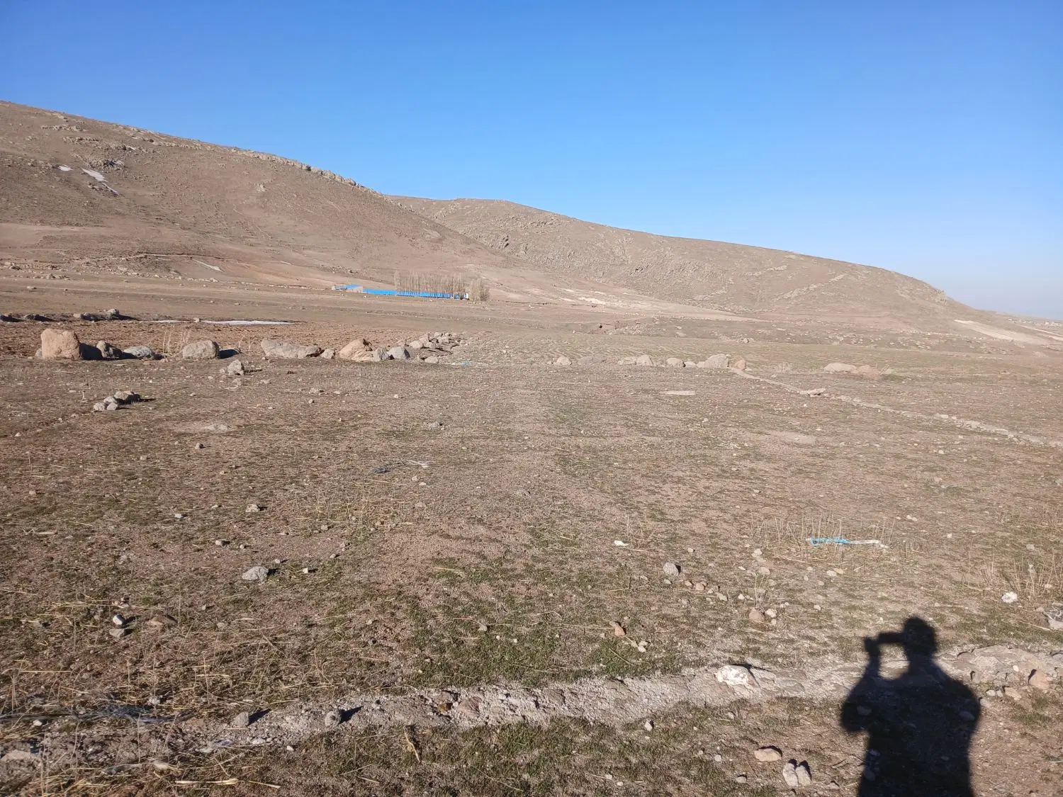 زمین داخل محدوده  آلوارس
