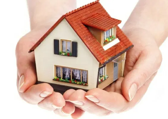 استیجاری هم کف