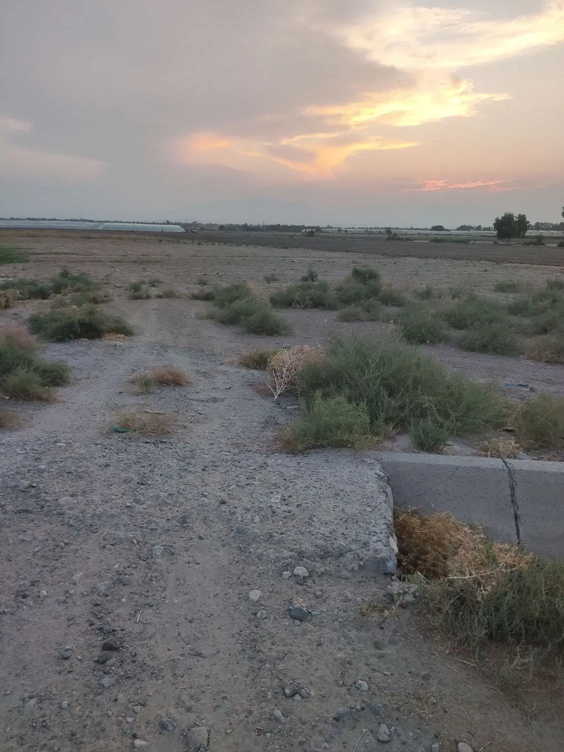 نیم هکتار زمین اجاره ای دهنو املاک