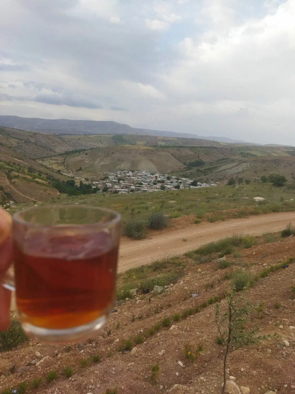 باغ انگور در روستای قره نوده