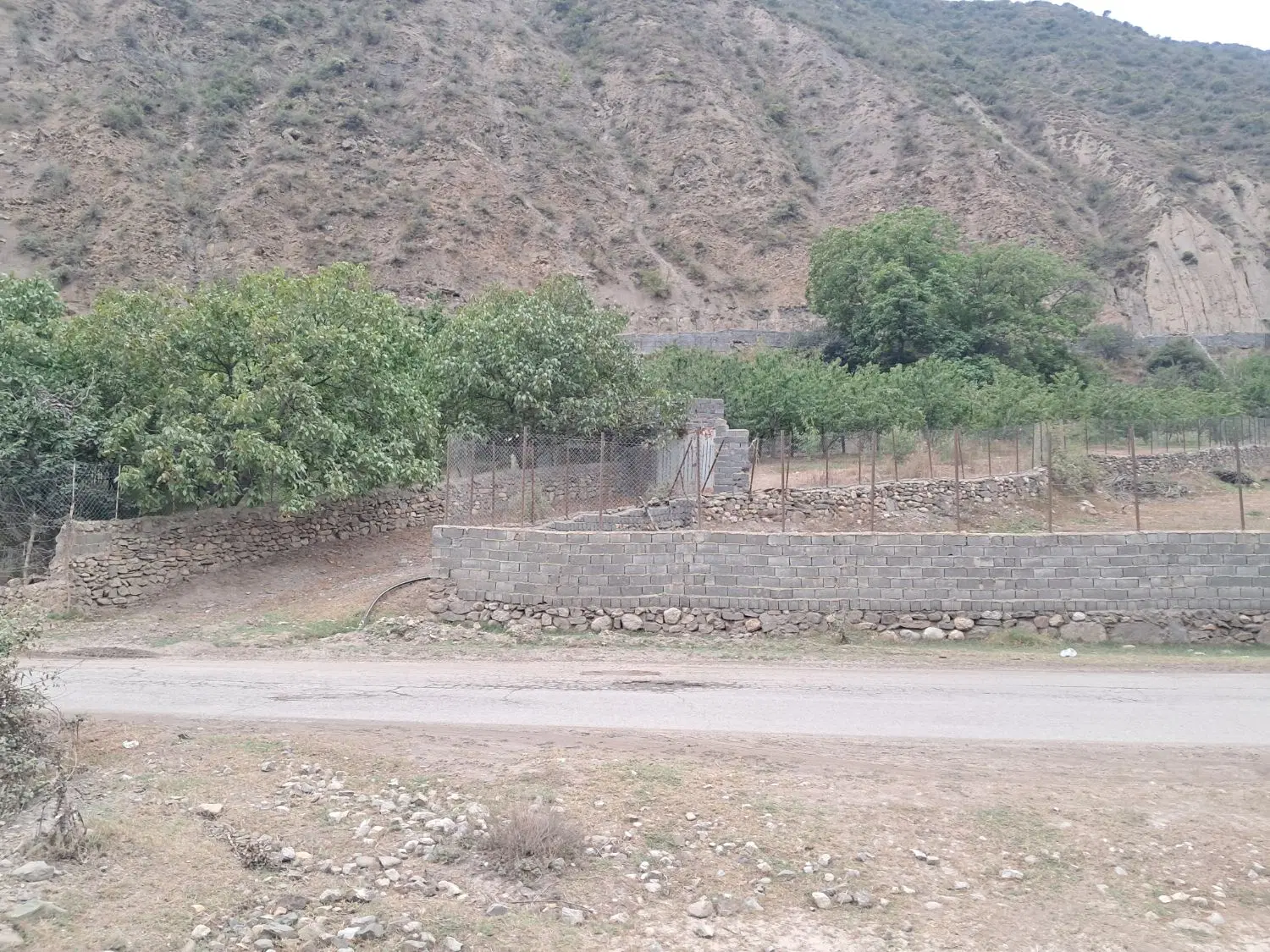 باغ گیلاس