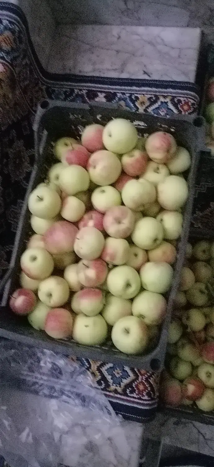 باغ اندرخ ملک شخصی مجموعه باغات فجر