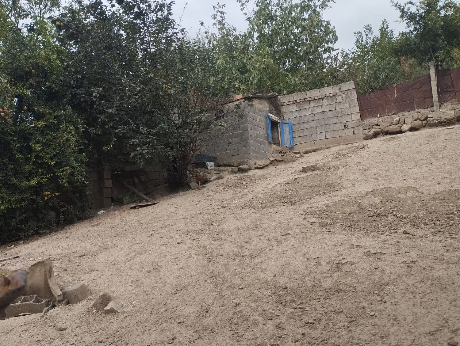 ملک