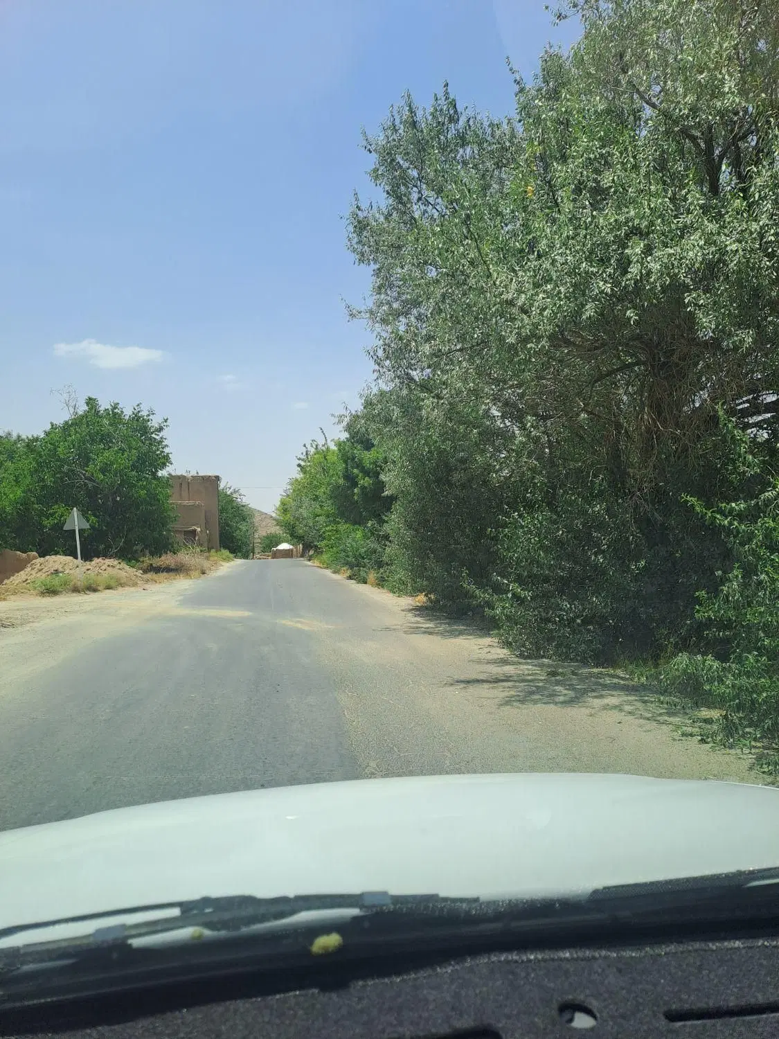 زمین سانیج