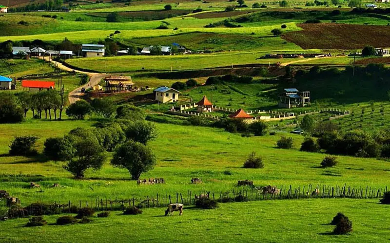 2300 متر زمین مسکونس دیلمان