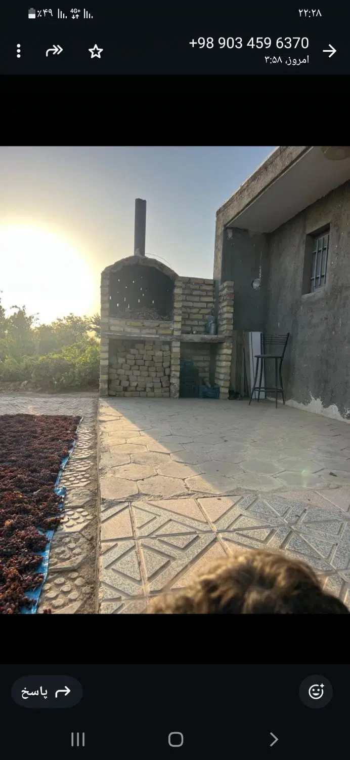 باغ انگور