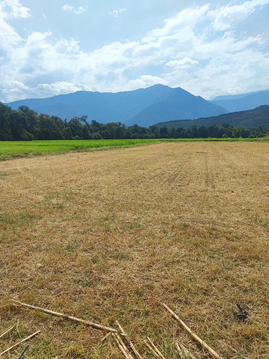 فروش یک هکتارو نیم زمین در روستای ازداری آبی