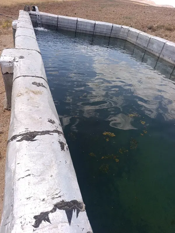 باغ میوه بارده