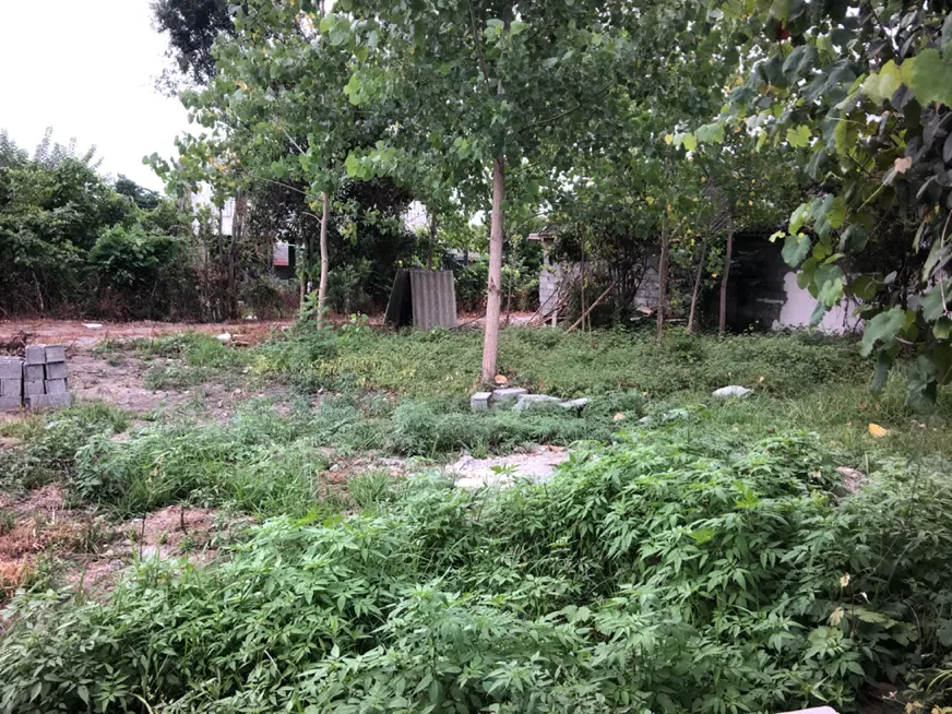 زمین مسکونی ۲۵۰ متر