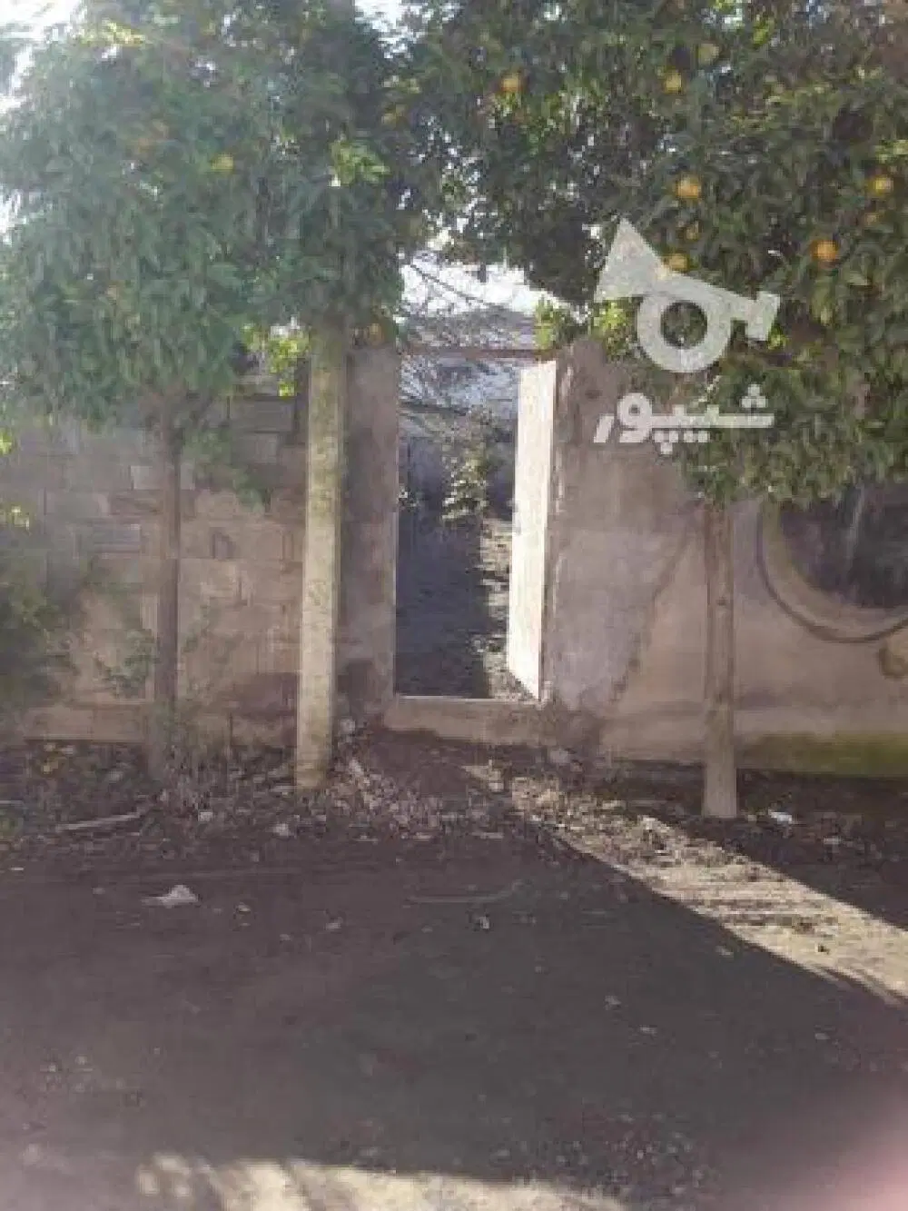 معاوضه زمین شمال با زمین در قم