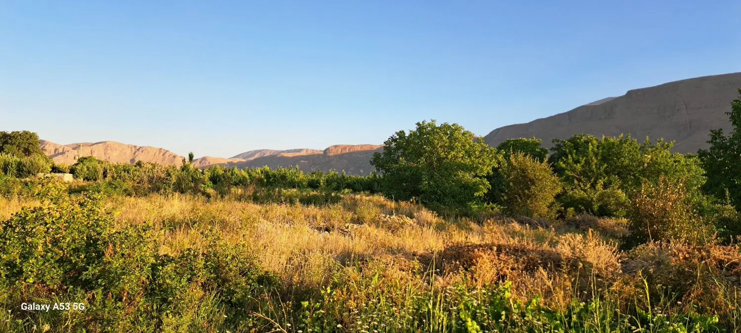 فروش تاکستان و زمین باغ ویلا