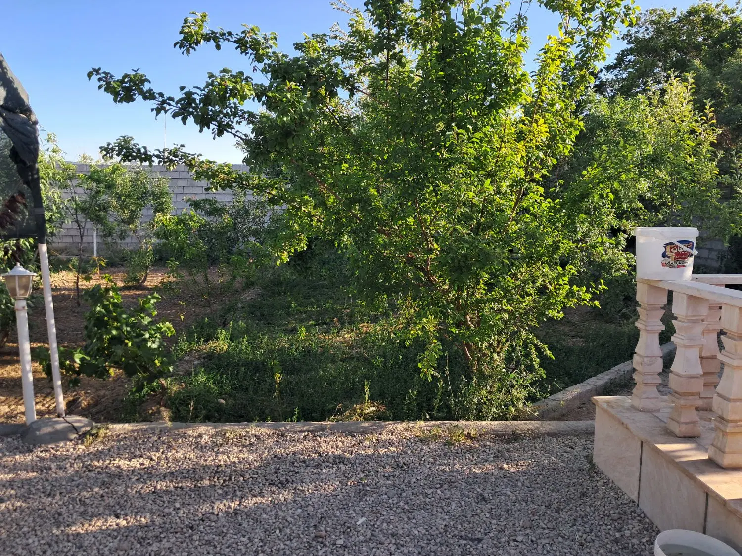 باغ قابل سکونت ۸۰۵ متر نهضت آباد