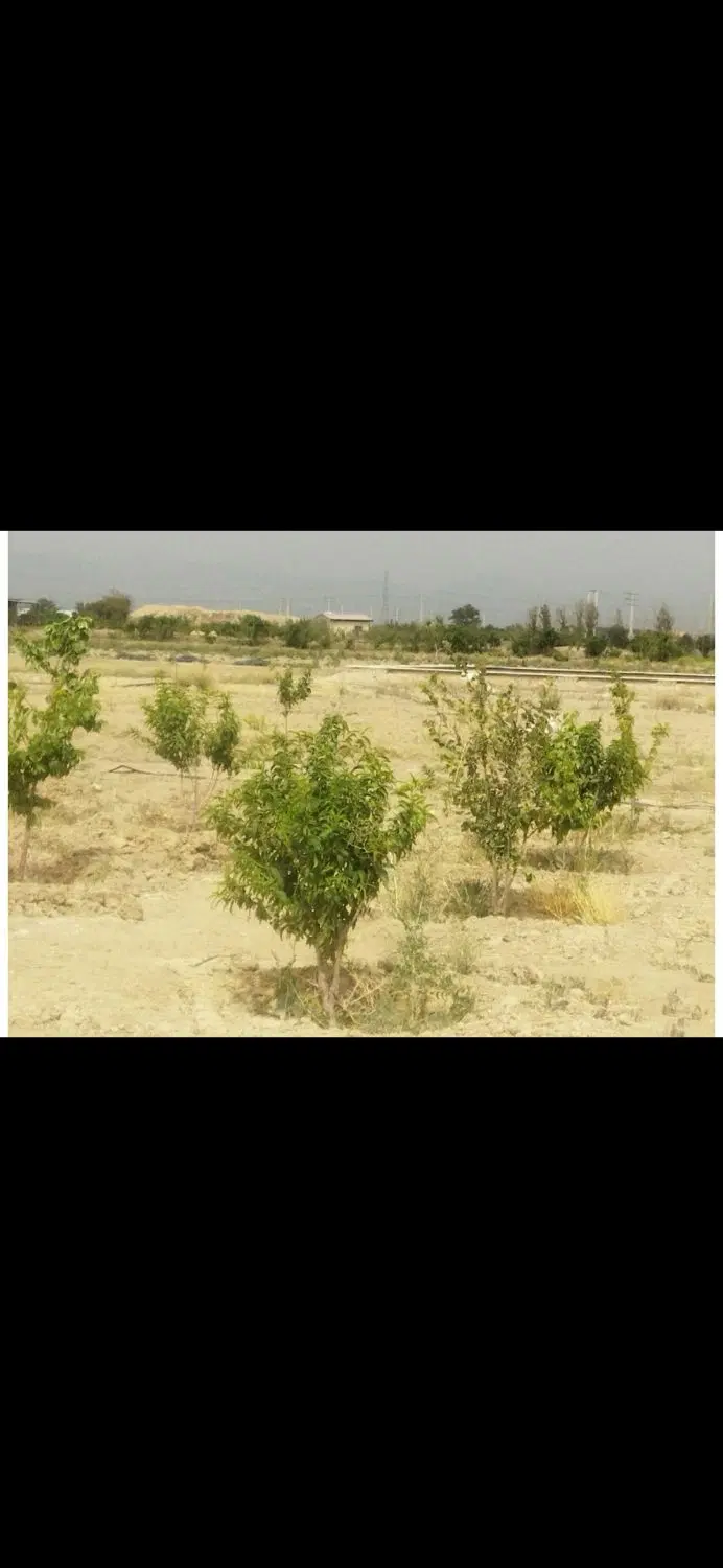 ۳۰۰متر زمین دو نبش سهیلیه زعفرانیه کردان