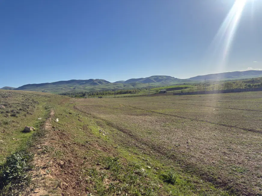 اجاره زمین زراعی دارای آب پمپاژ محموداباد