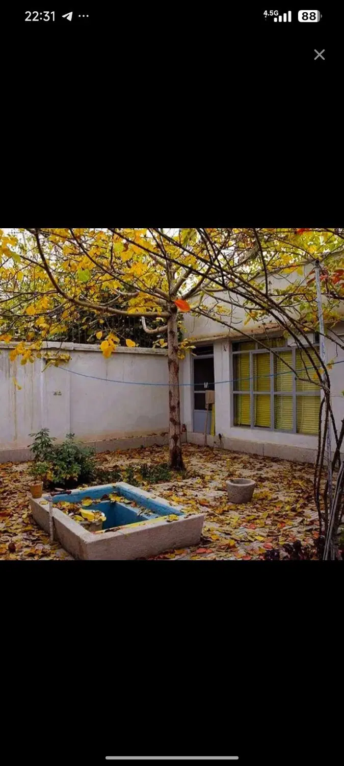 همخونه موجه و بدون حاشیه نیازمندم