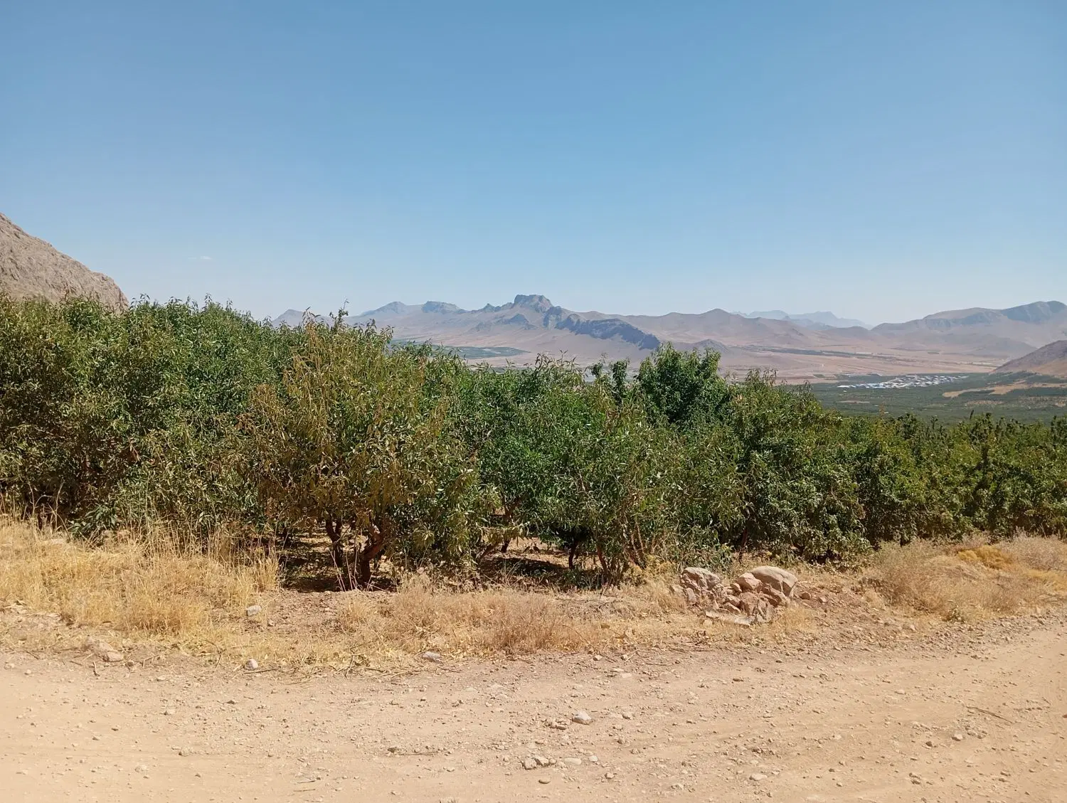 فروش طرح عمان